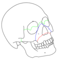 Thumbnail for version as of 15:13, 5 November 2014