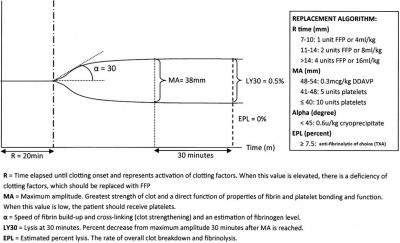 TEG baylor approach corrected.jpg