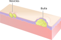 Thumbnail for version as of 14:41, 10 September 2020