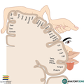Thumbnail for version as of 21:08, 3 December 2014