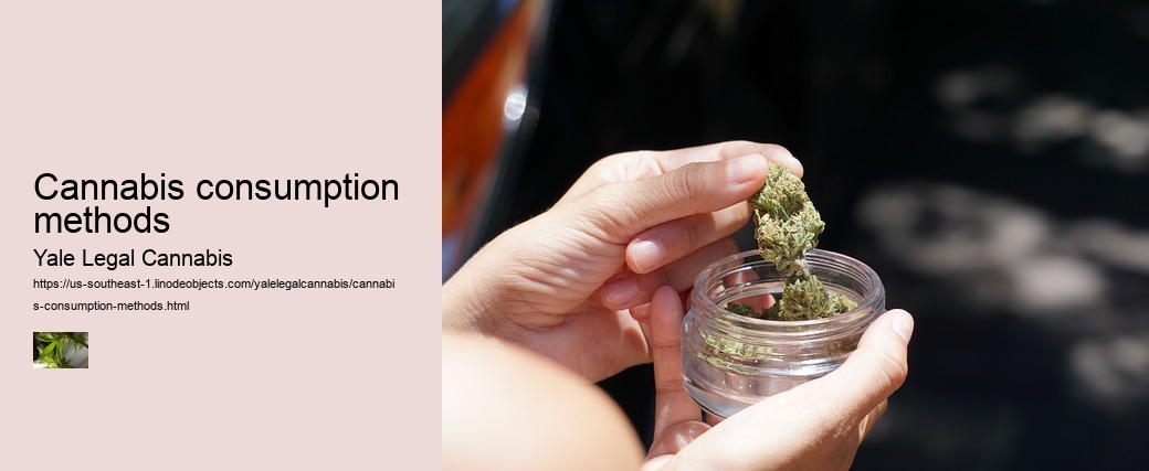 Cannabis consumption methods