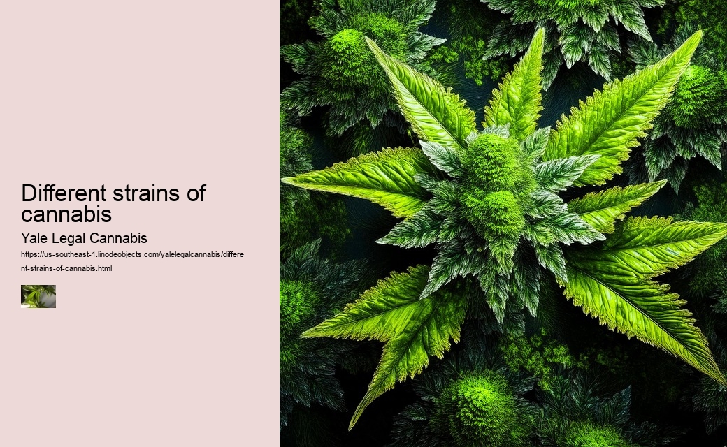 Different strains of cannabis